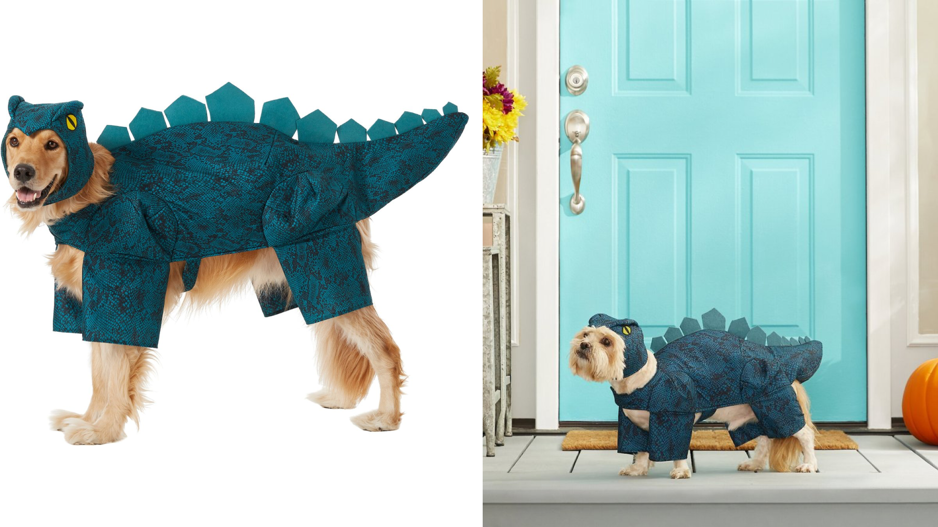 dog costumes