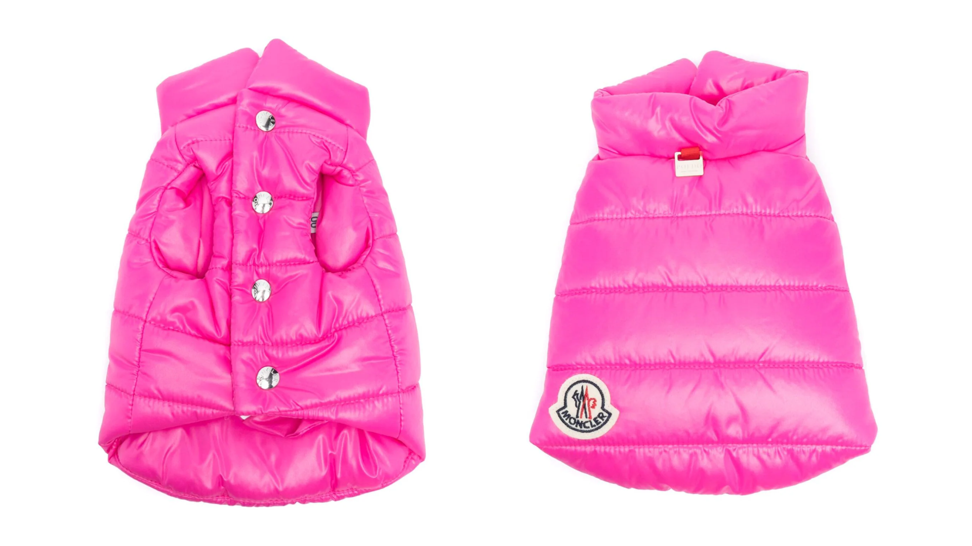 moncler dog coat