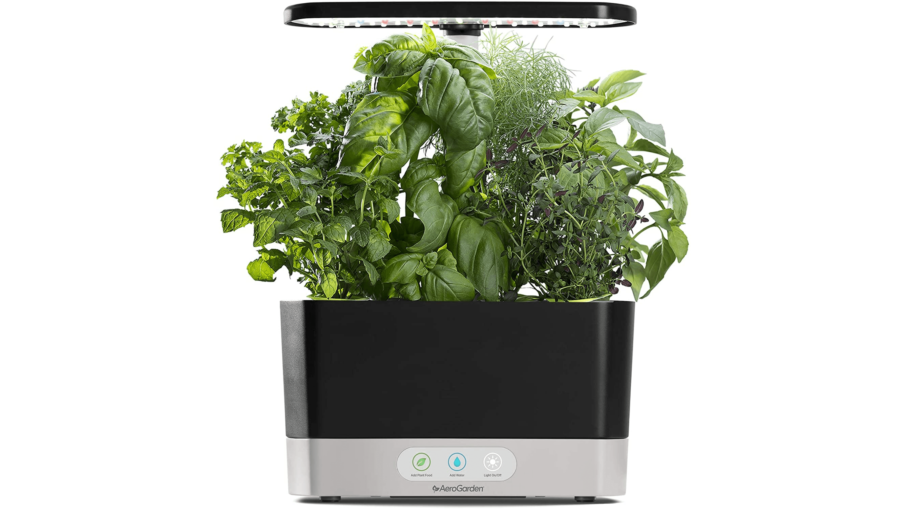 countertop black aerogarden to grow herbs like basil, thyme, and dill