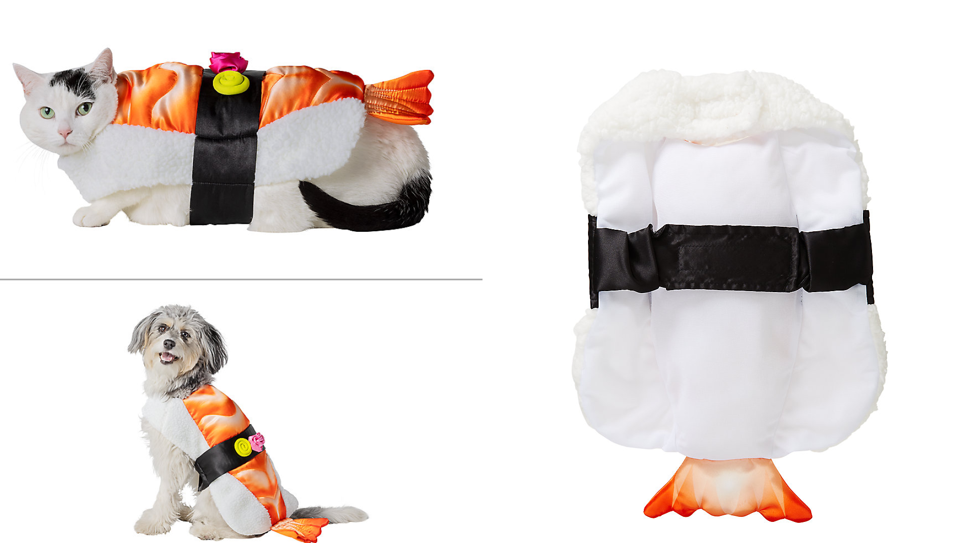 Sushi Costume