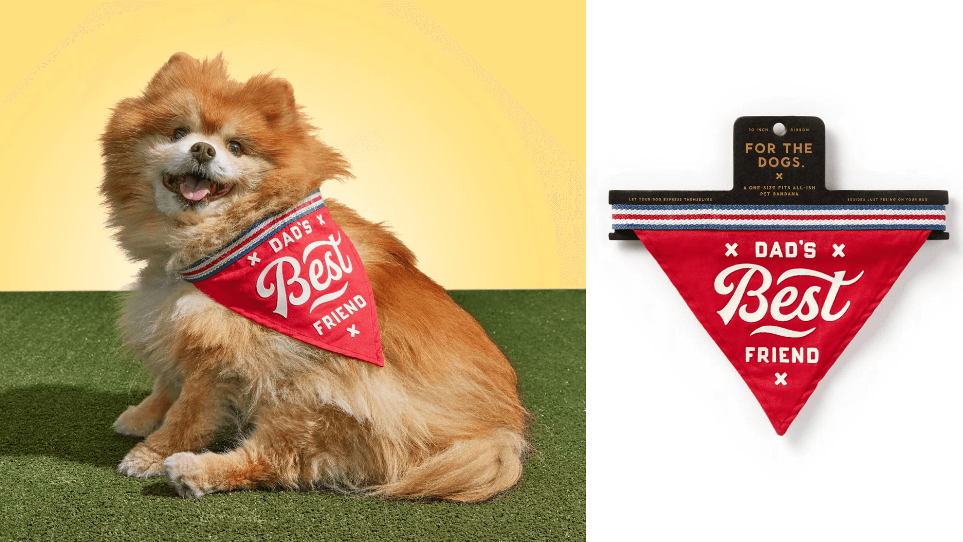 dog neckerchief