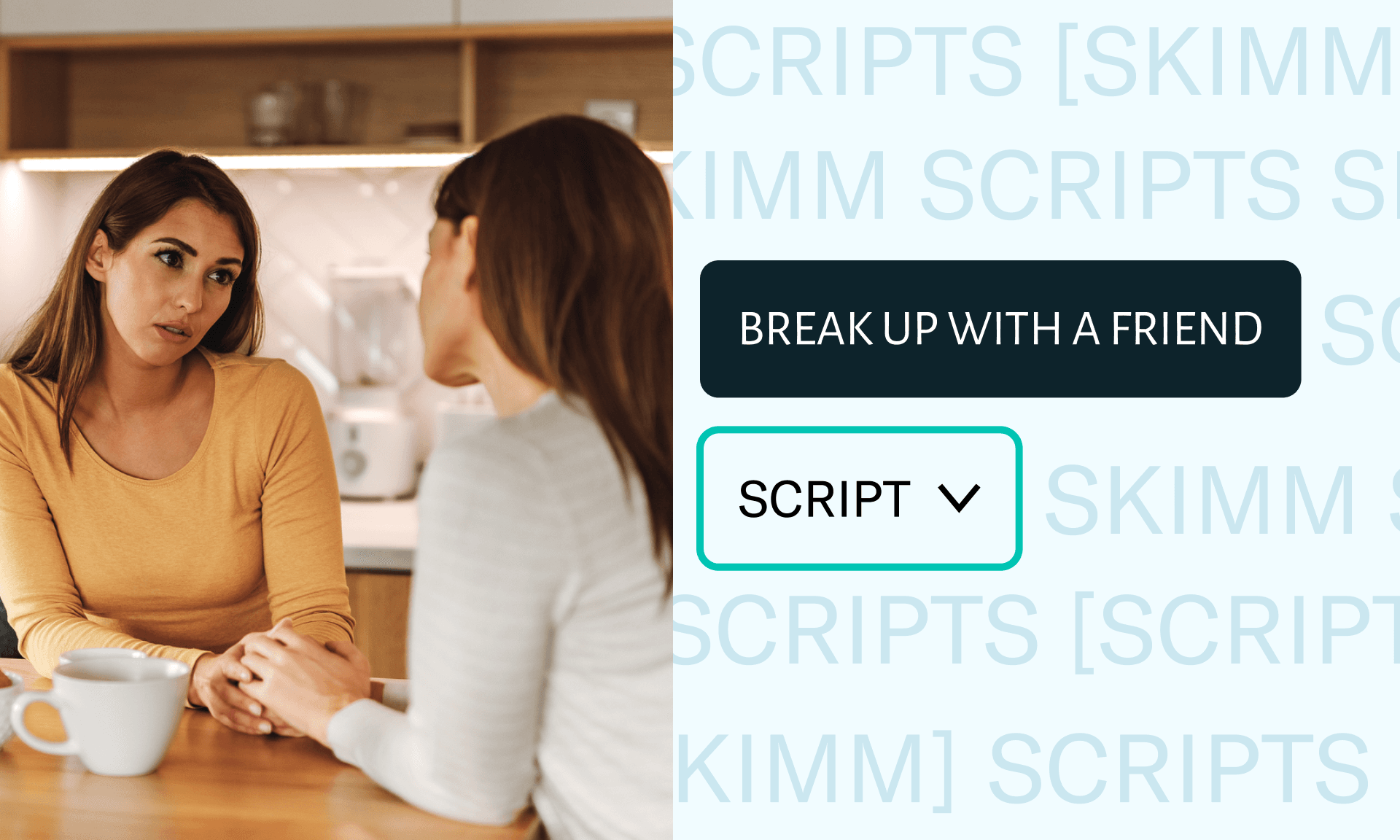 On the left: Two women having a conversation. On the right: Copy that says 'break up with a friend, script'