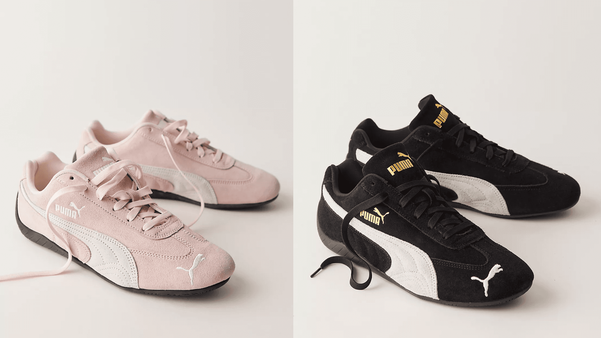 puma