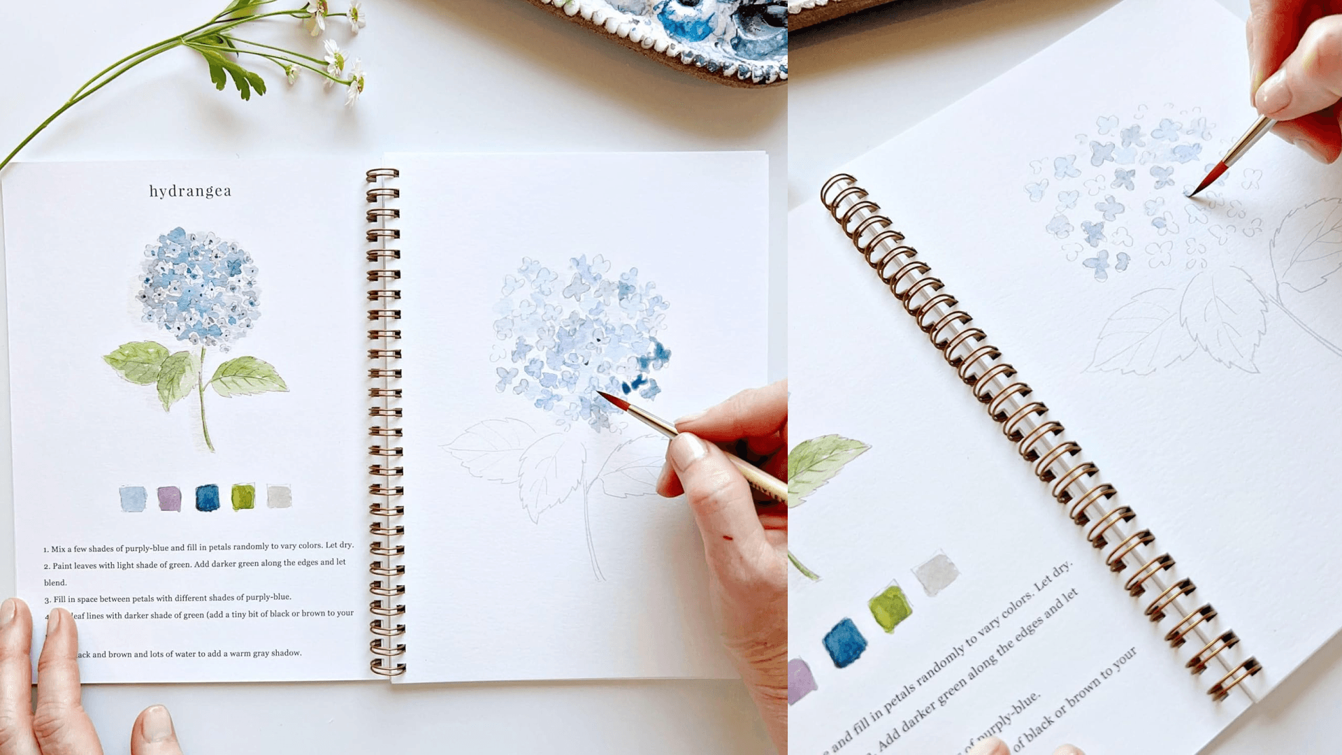 Flowers Watercolor Workbook by Emily Lex Studio, 12 Beginner Friendly Sketched Illustrations, Lay Flat Spiral Pages, 6.5 x 9 inch, 120lb Watercolor Paper