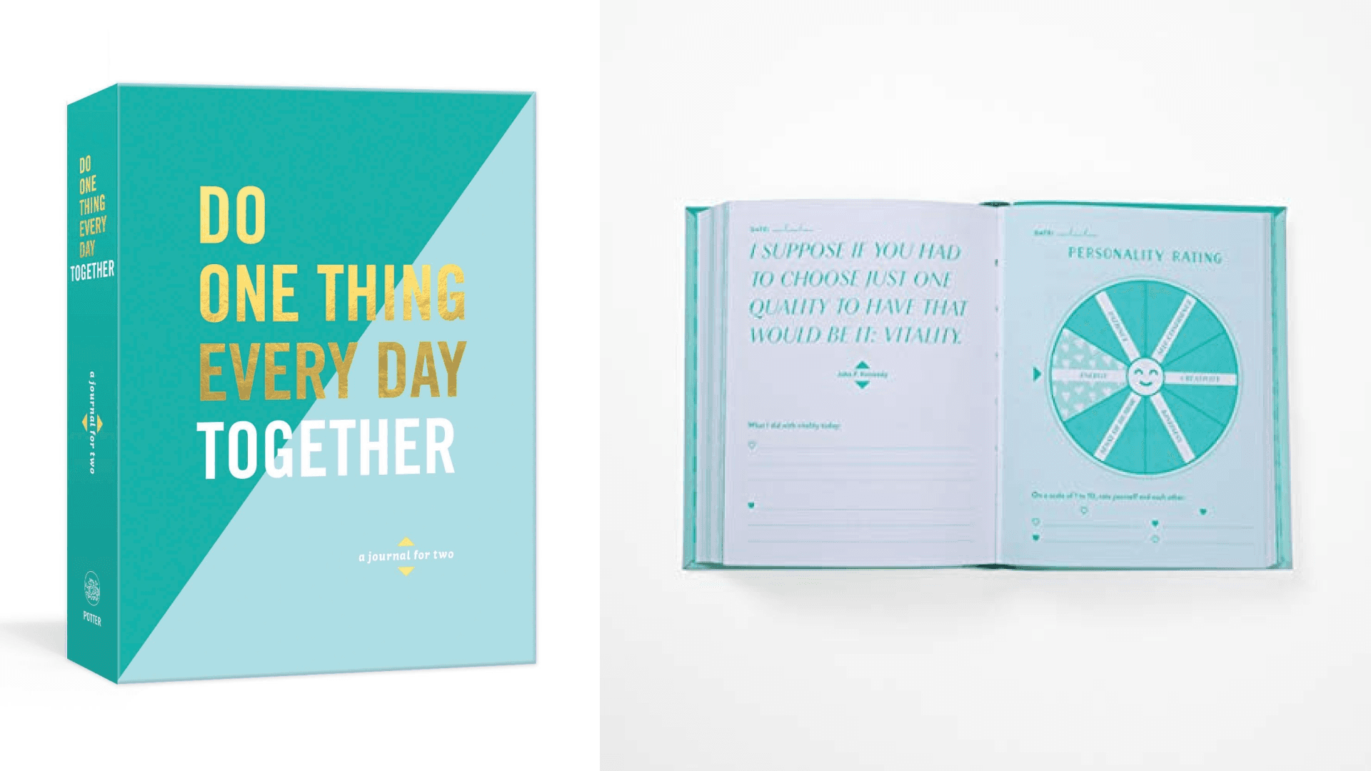 A sentimental shared journal